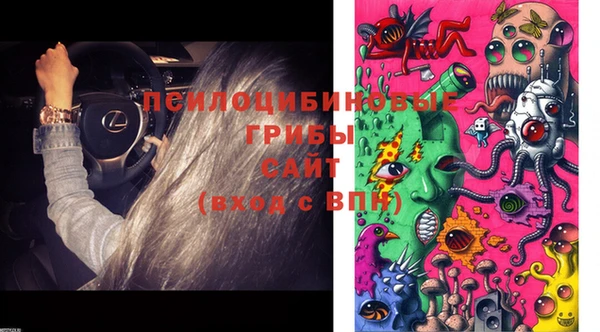 эйфоретик Лиски