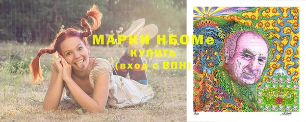 гашик Липки