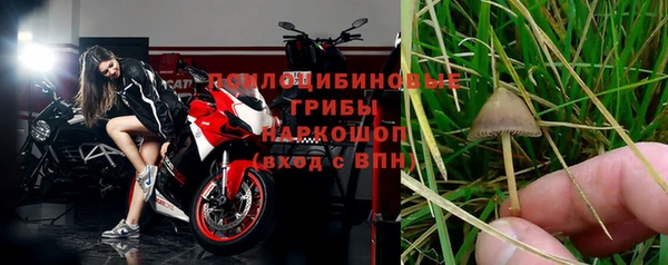 бошки Алексеевка
