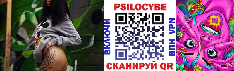 Галлюциногенные грибы Psilocybine cubensis  Злынка 