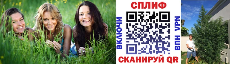 Каннабис индика  сайты даркнета формула  Злынка 